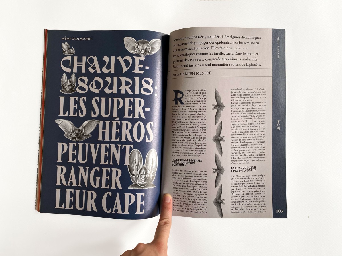 Fracas, le magazine